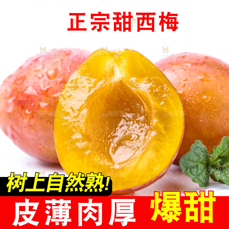 白底上的新疆法兰西西梅