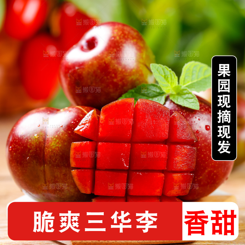 木板上放着钱排三华李