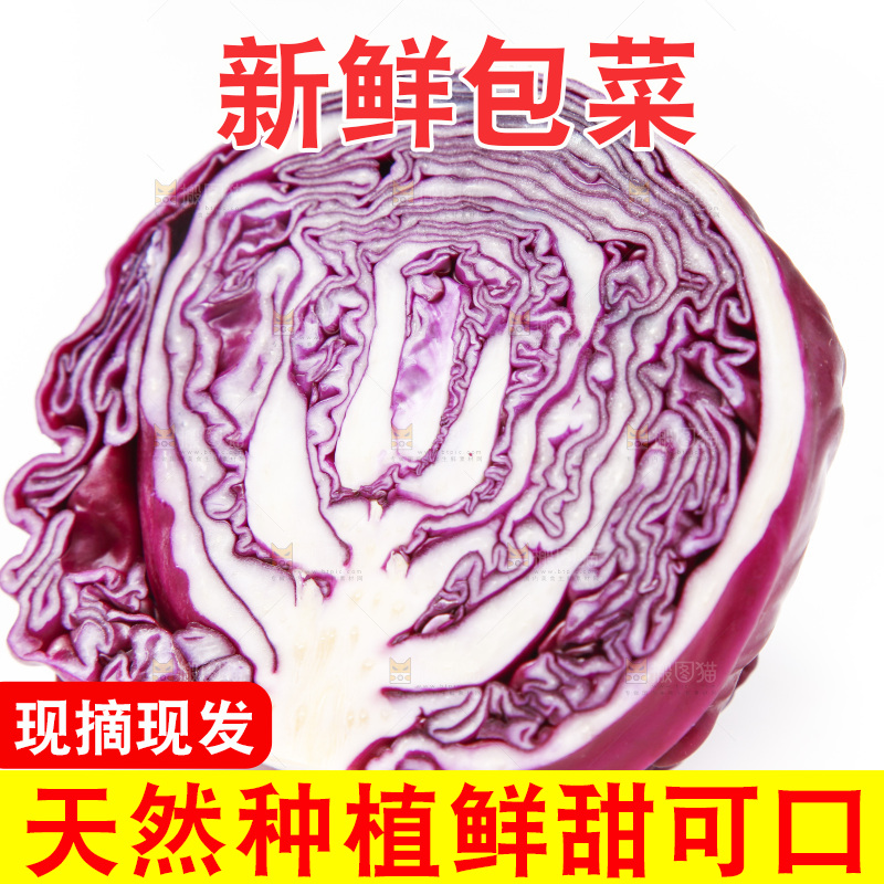 白底上放着紫包菜