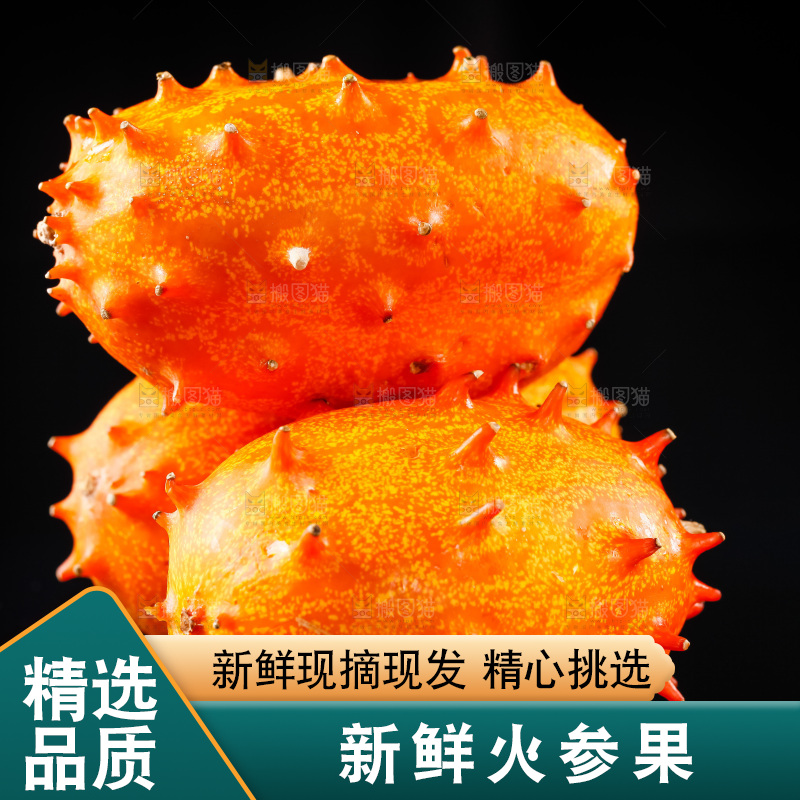 黑底上放着刺角瓜