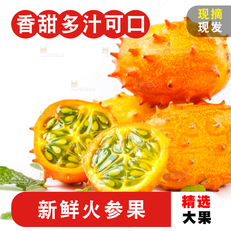 白底上放着海参果