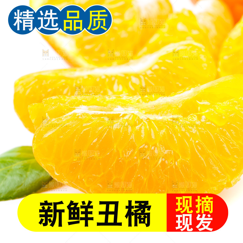 白底上的丑柑