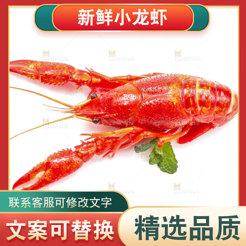 白底上放着清蒸小龙虾