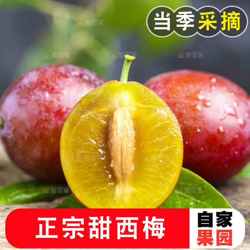 木底上的西梅
