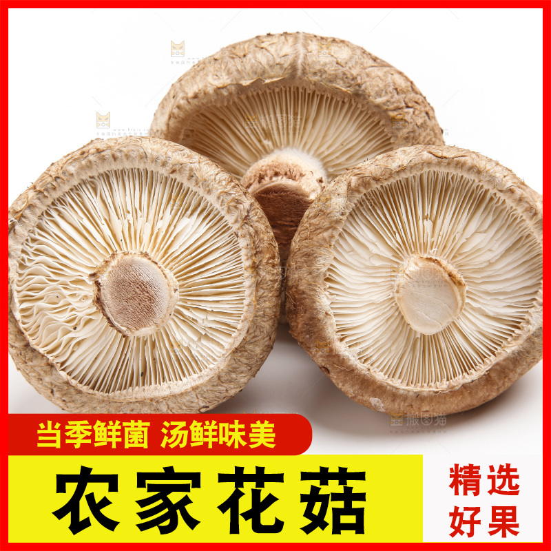 白底上放着花菇
