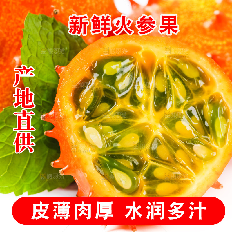 浅底上摆放着刺角瓜
