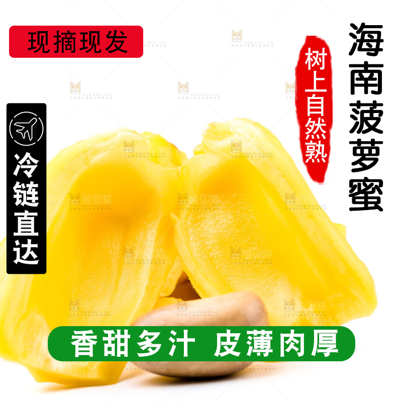 浅底上的海南菠萝蜜