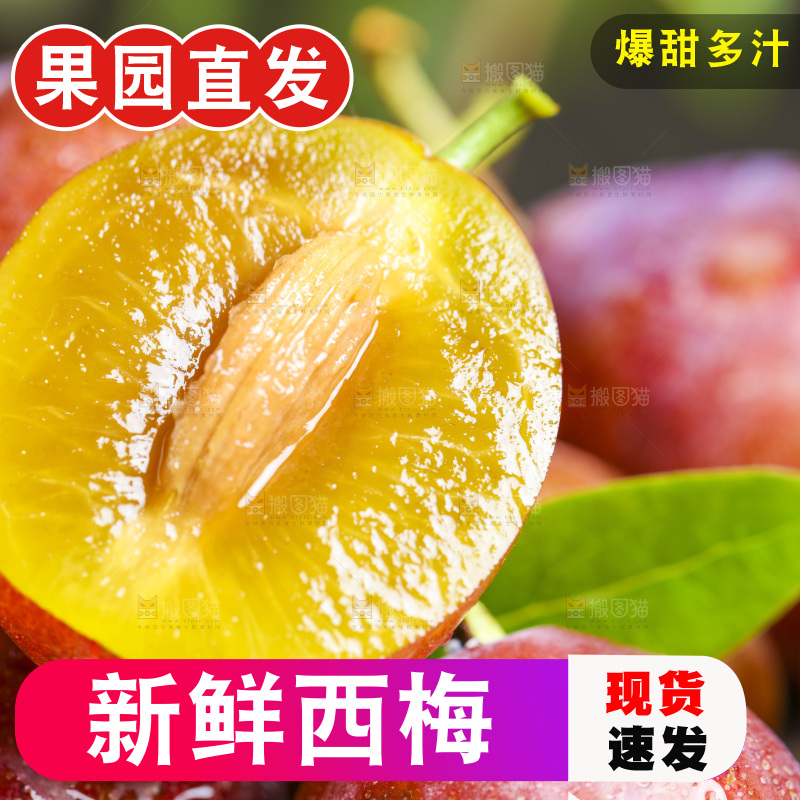 木底上的新疆西梅
