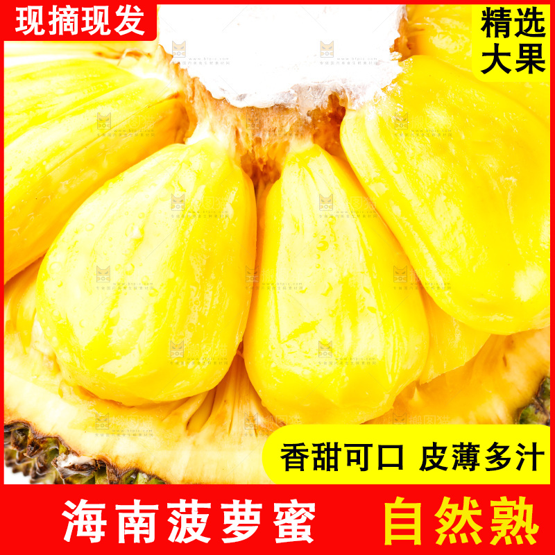 白底上的海南菠萝蜜