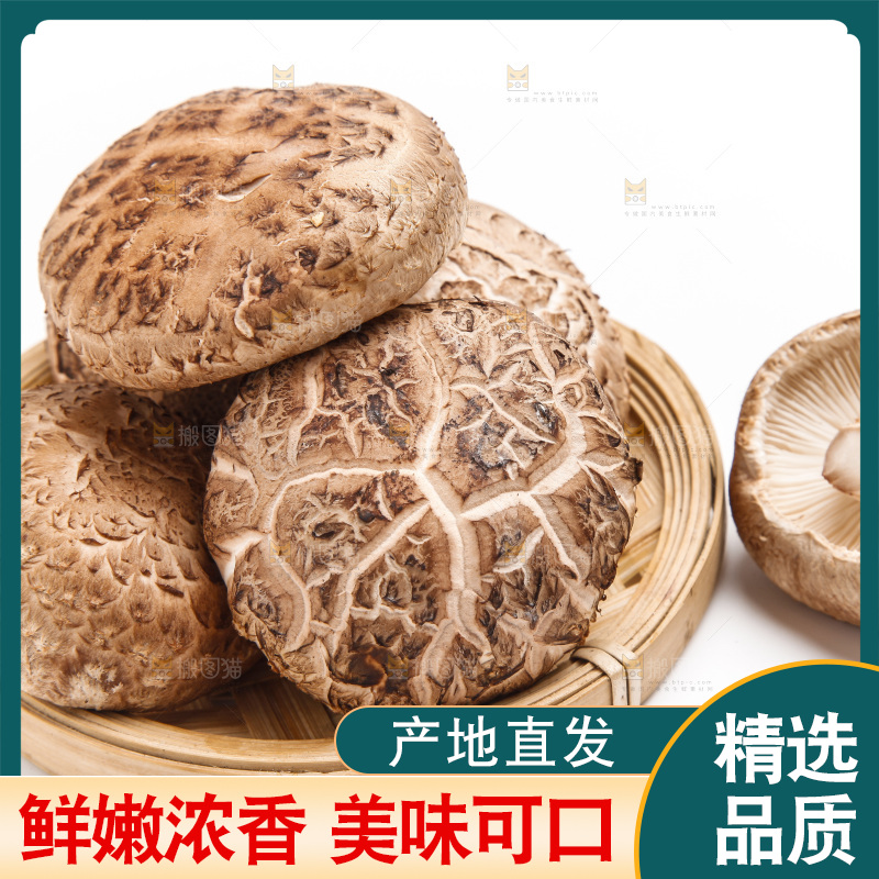 篮子里的冬菇