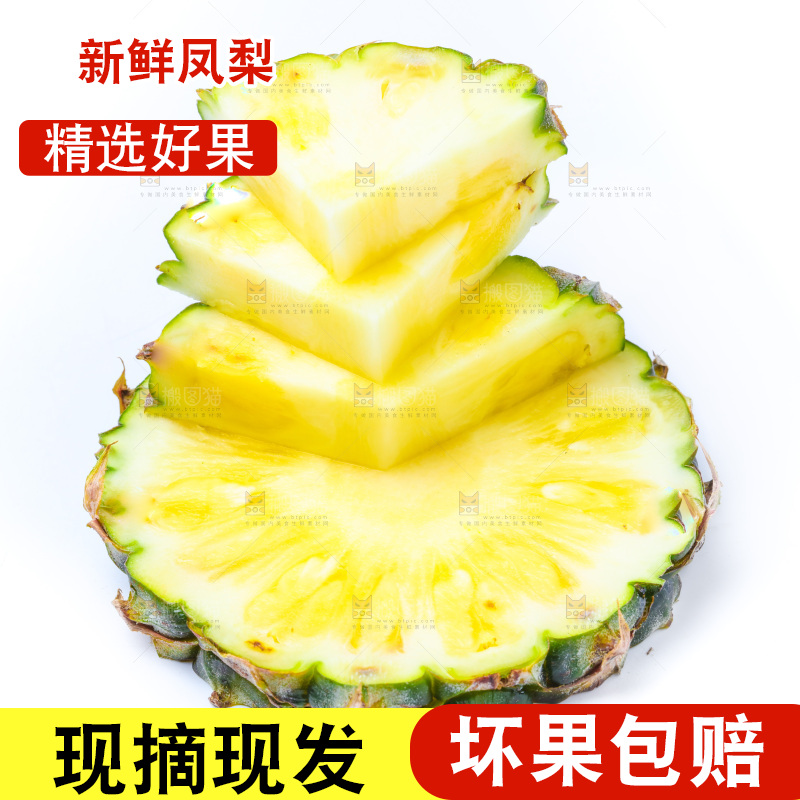 浅底上的海南凤梨