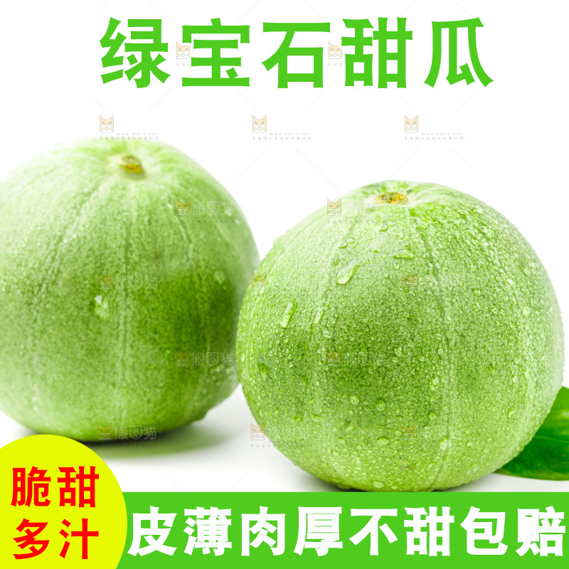 浅底上的山东绿宝石甜瓜