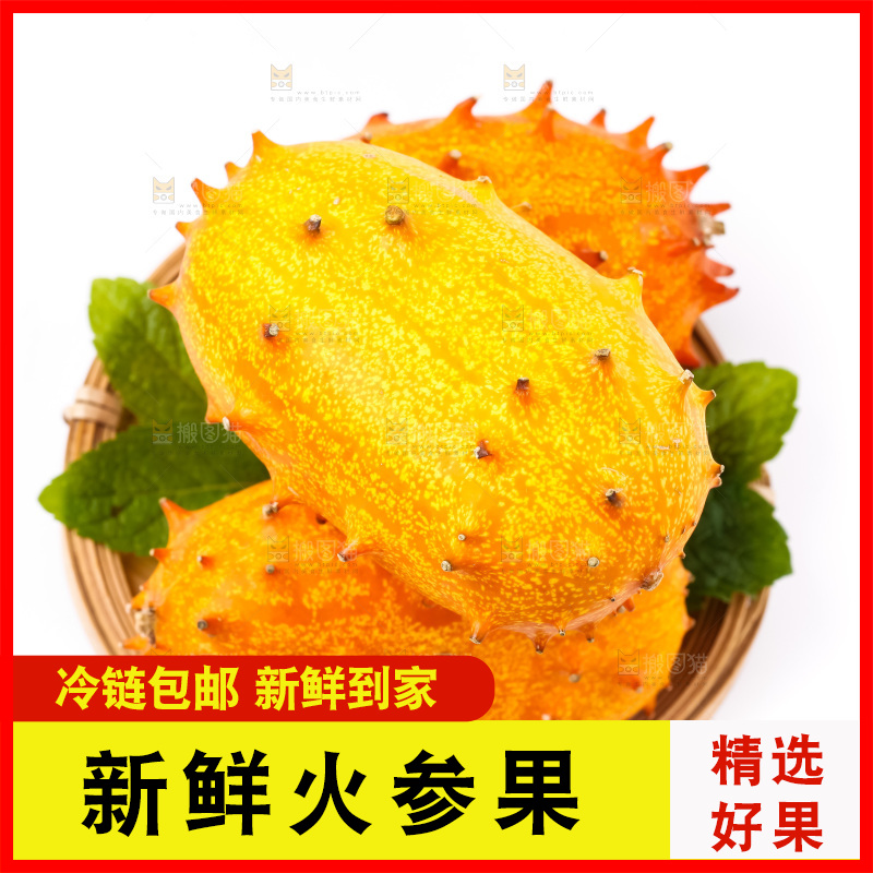 白底上摆放着刺角瓜