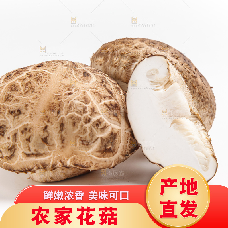 白底上放着花菇