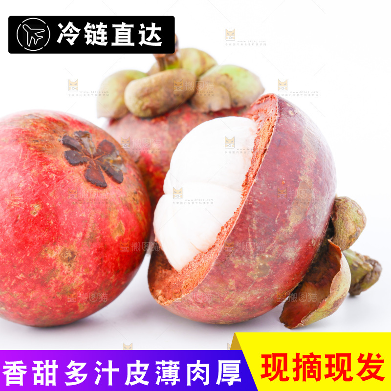 白底上的山竹