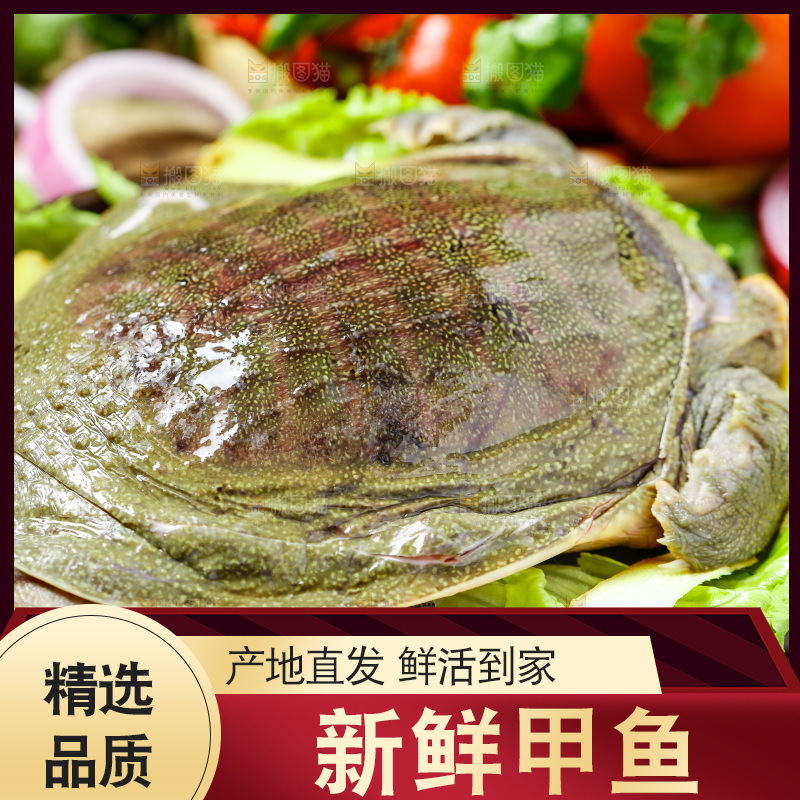 盘子里装着甲鱼