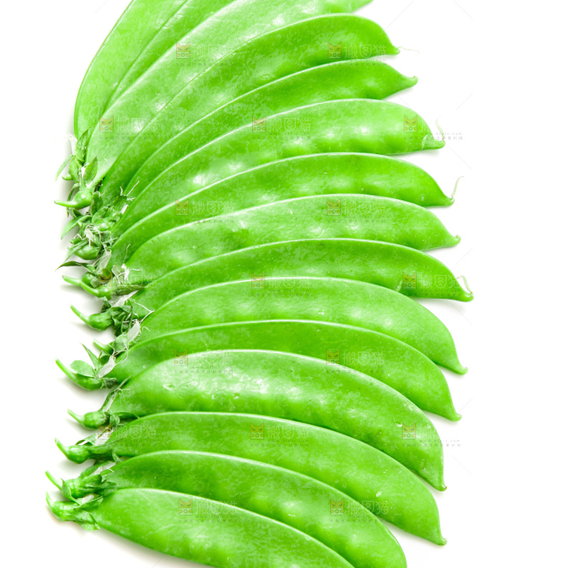 浅底上的荷兰豆