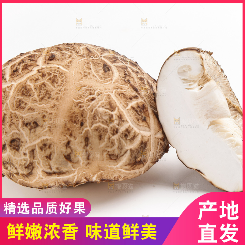 白底上放着花菇