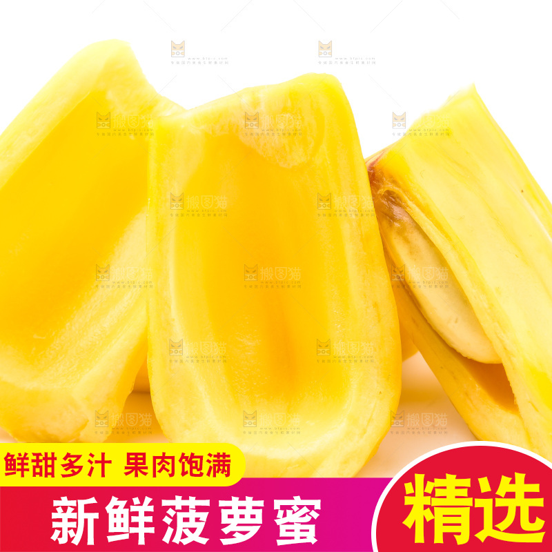 浅底上的海南菠萝蜜