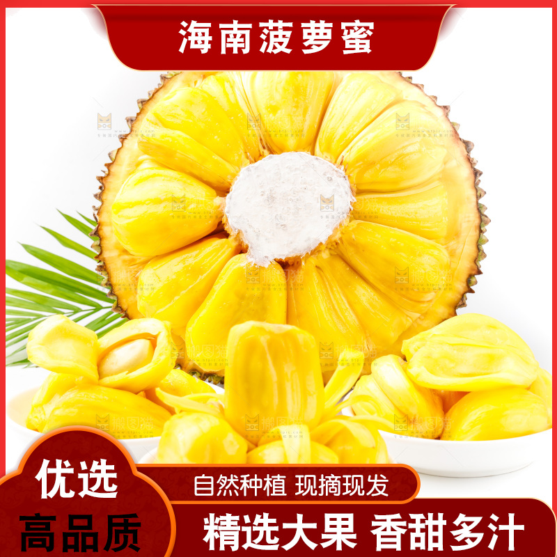 白底上的海南菠萝蜜