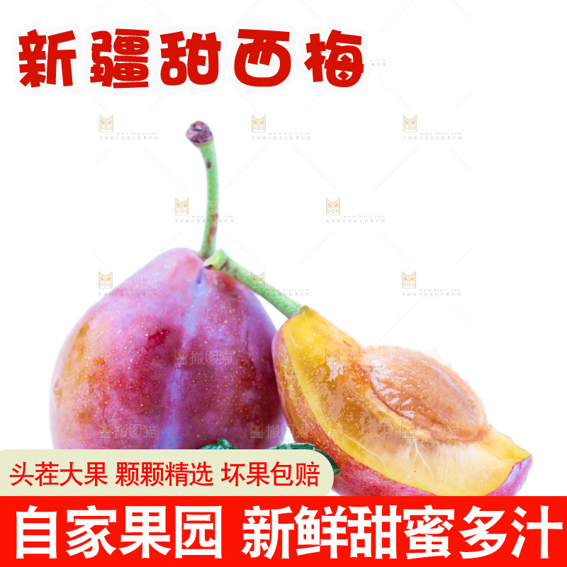 浅底上的新疆西梅