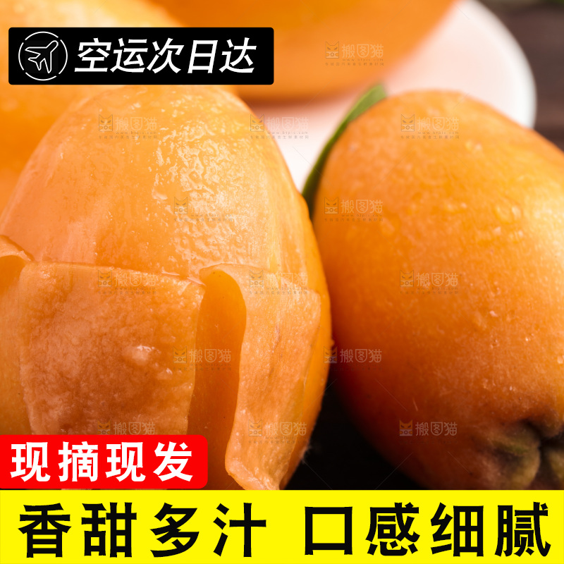 深底上的攀枝花枇杷
