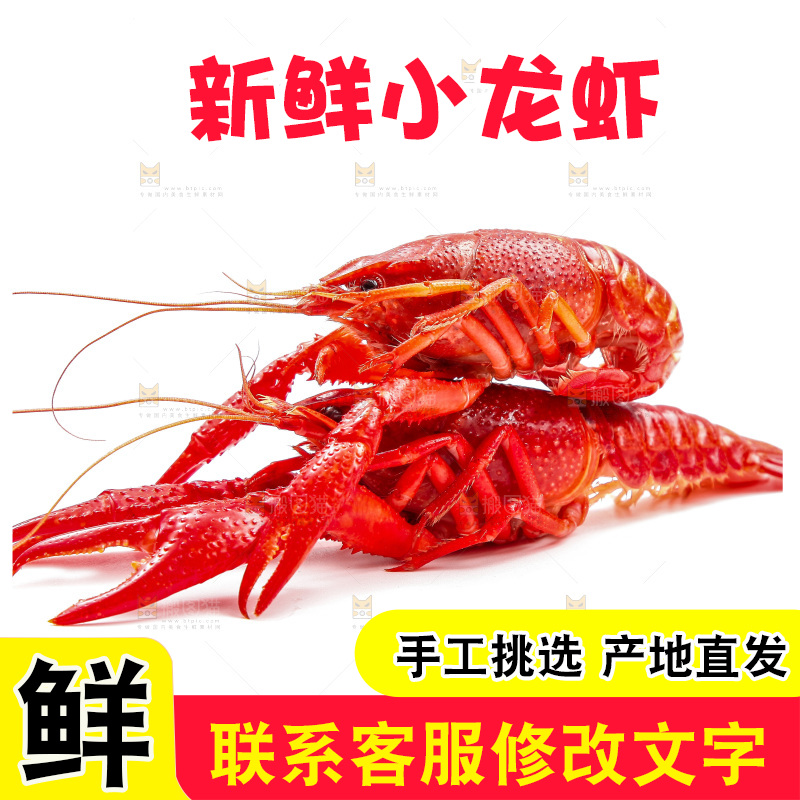 白底上放着清蒸小龙虾
