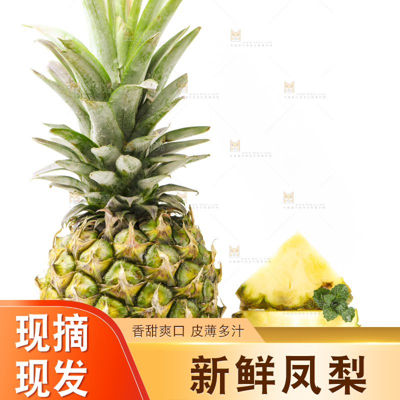 白底上摆放着海南凤梨