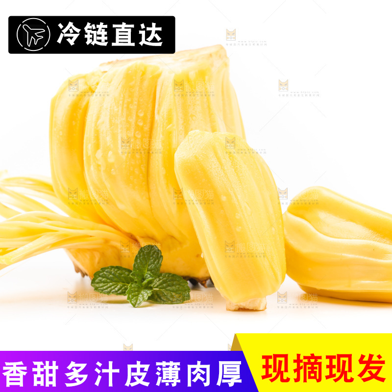 白底上放着海南菠萝蜜