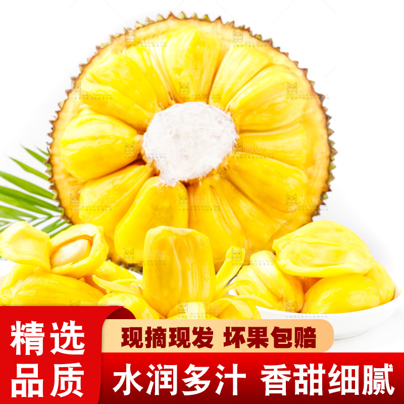 白底上的海南菠萝蜜