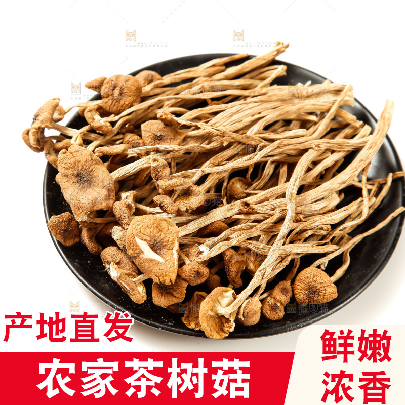 白底上的茶树菇