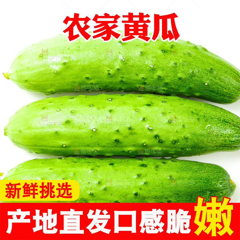白底上放着旱黄瓜
