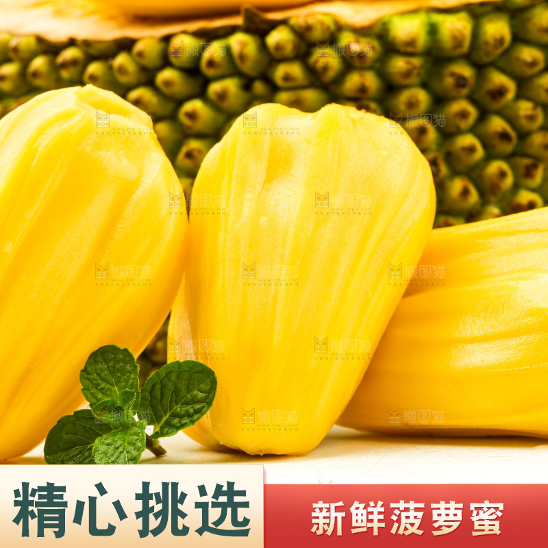 浅底上的黄肉菠萝蜜