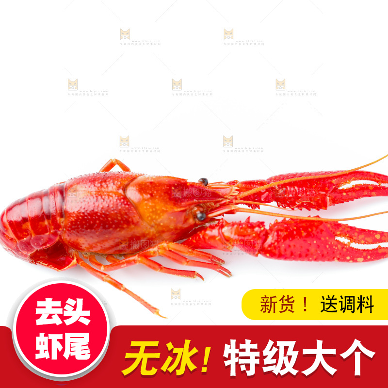 白底上放着秘制小龙虾