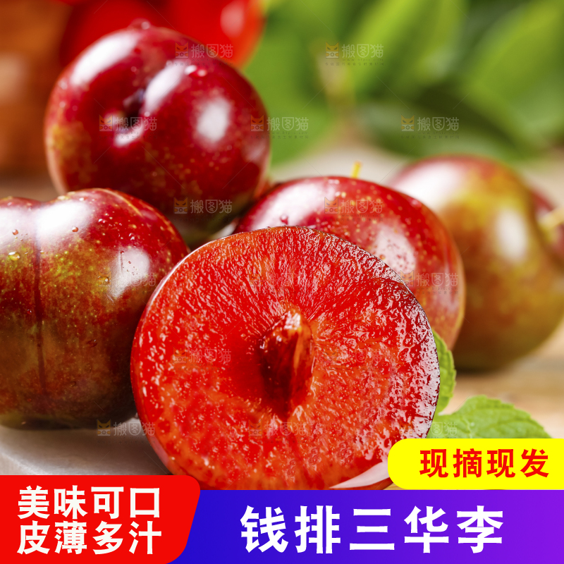 木板上放着钱排三华李