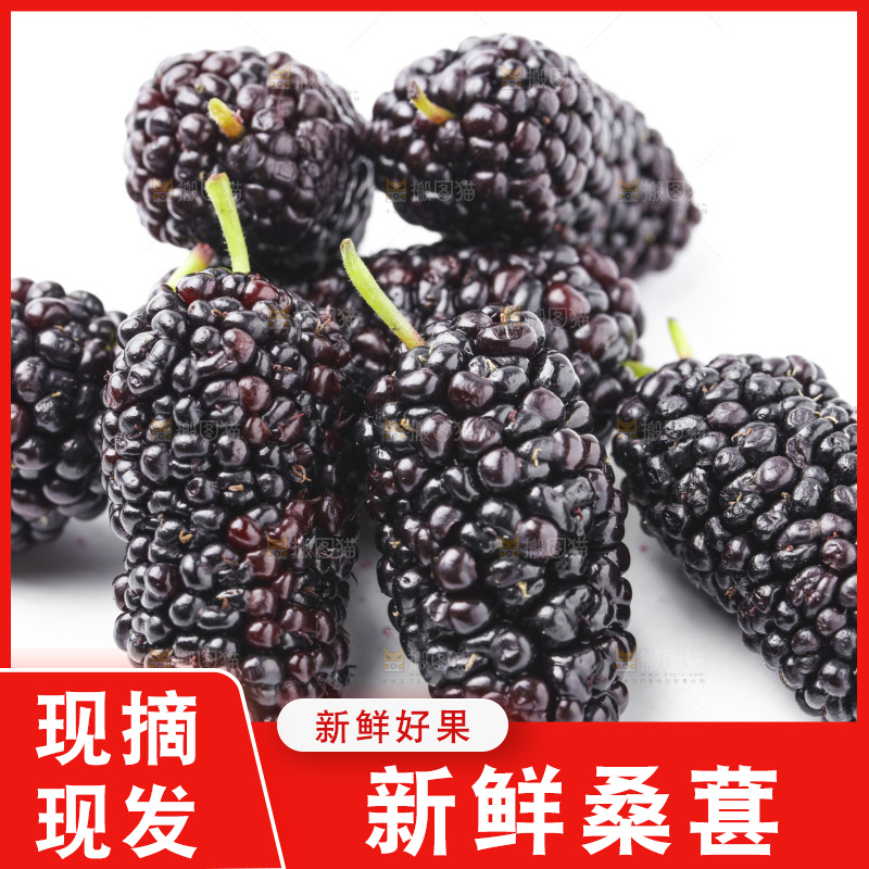 白底上摆放着桑葚