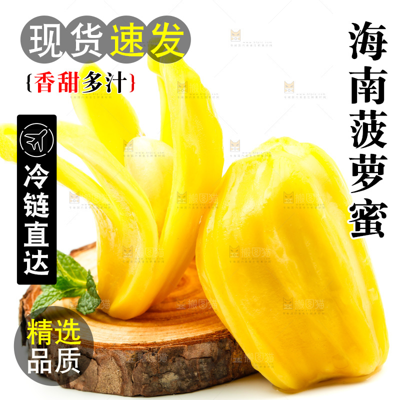 白底上的海南菠萝蜜