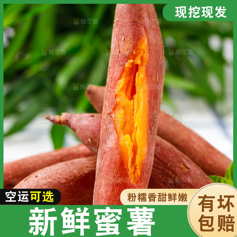 格子底上摆放着红薯