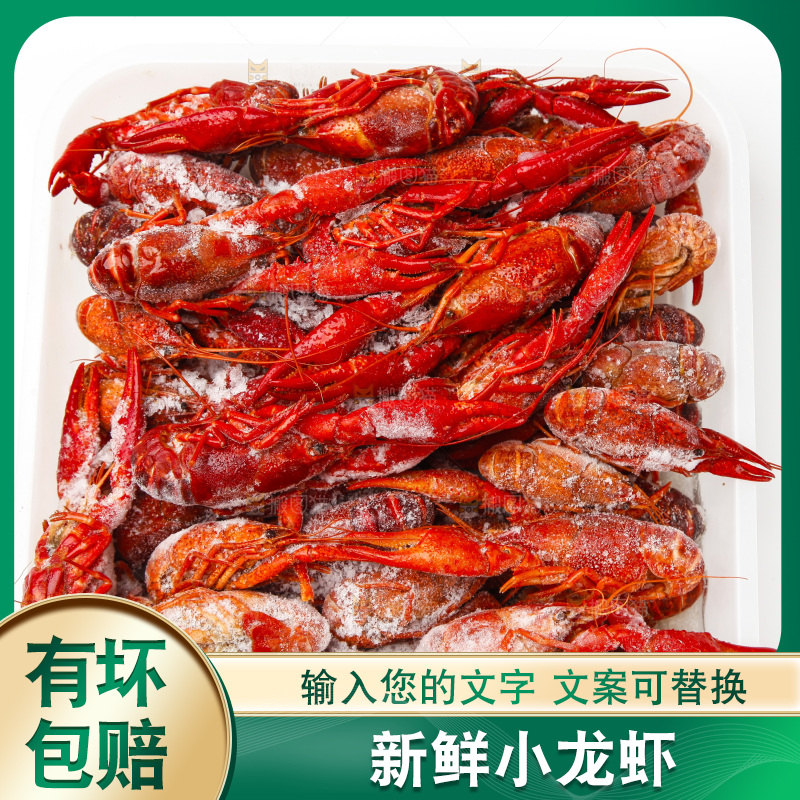 白底上的小龙虾