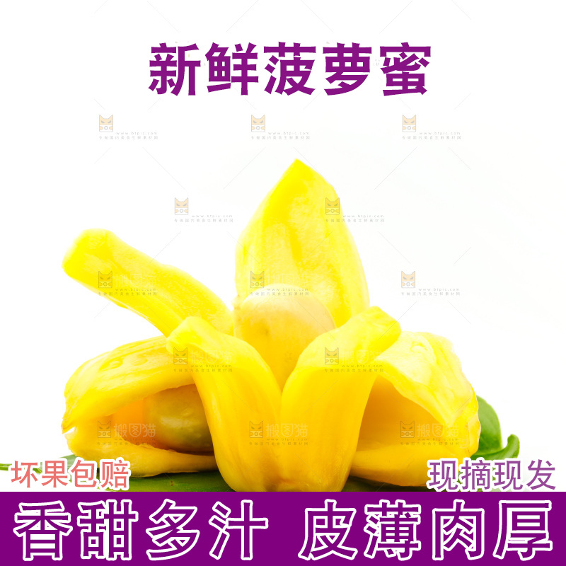 白底上放着新鲜菠萝蜜
