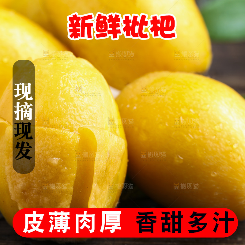 深底上的攀枝花枇杷