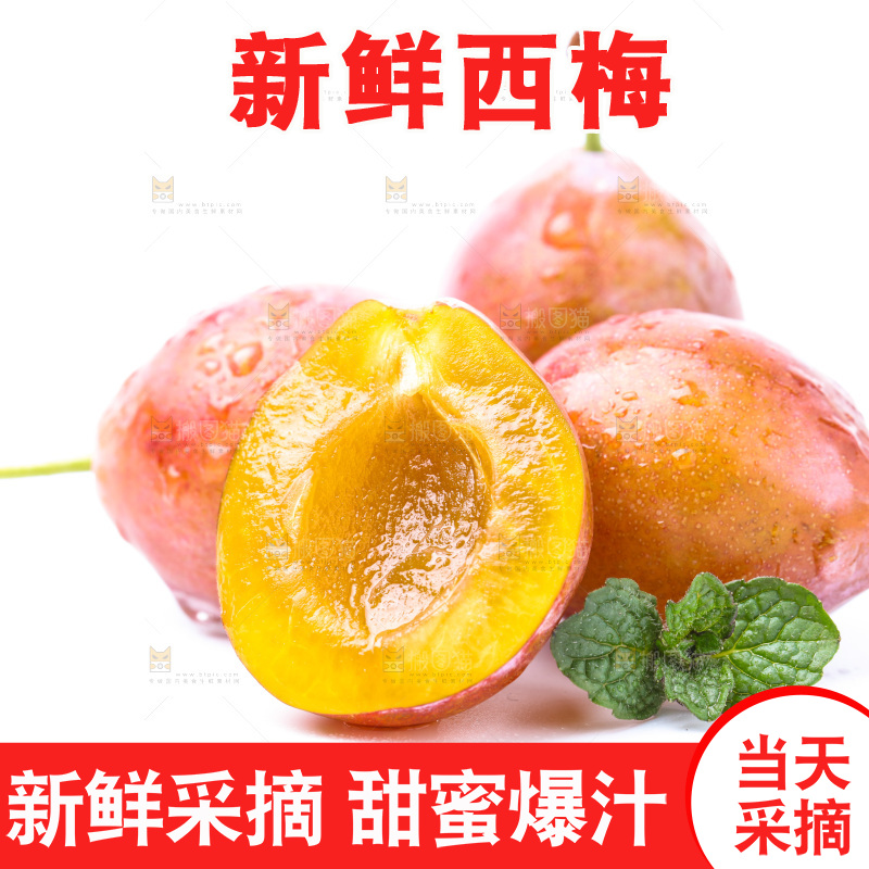 白底上的新疆法兰西西梅