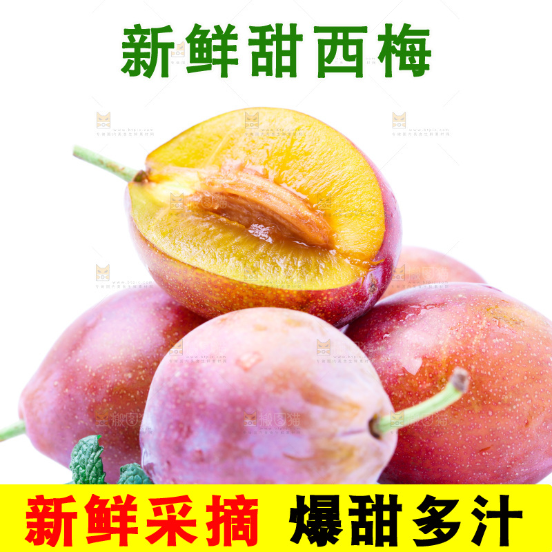 浅底上的新疆西梅