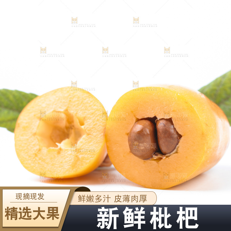 白底上的枇杷
