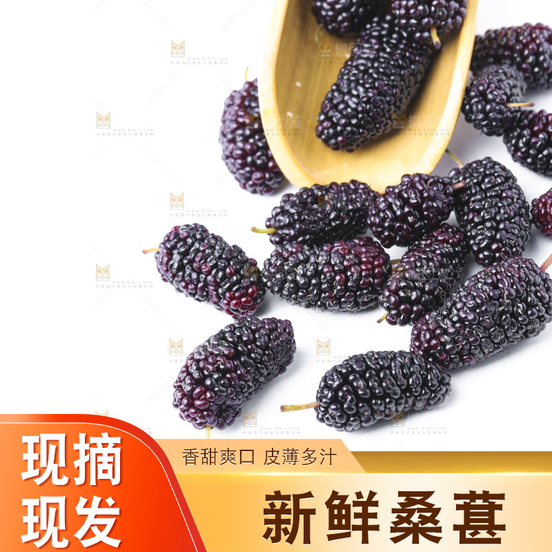白底上放着新鲜桑葚