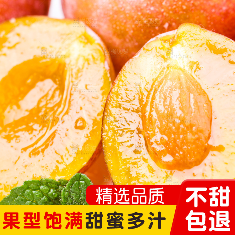 浅底上的新疆西梅