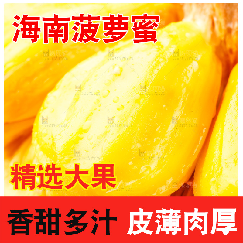 白底上的海南菠萝蜜