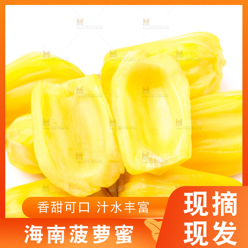 浅底上的海南菠萝蜜