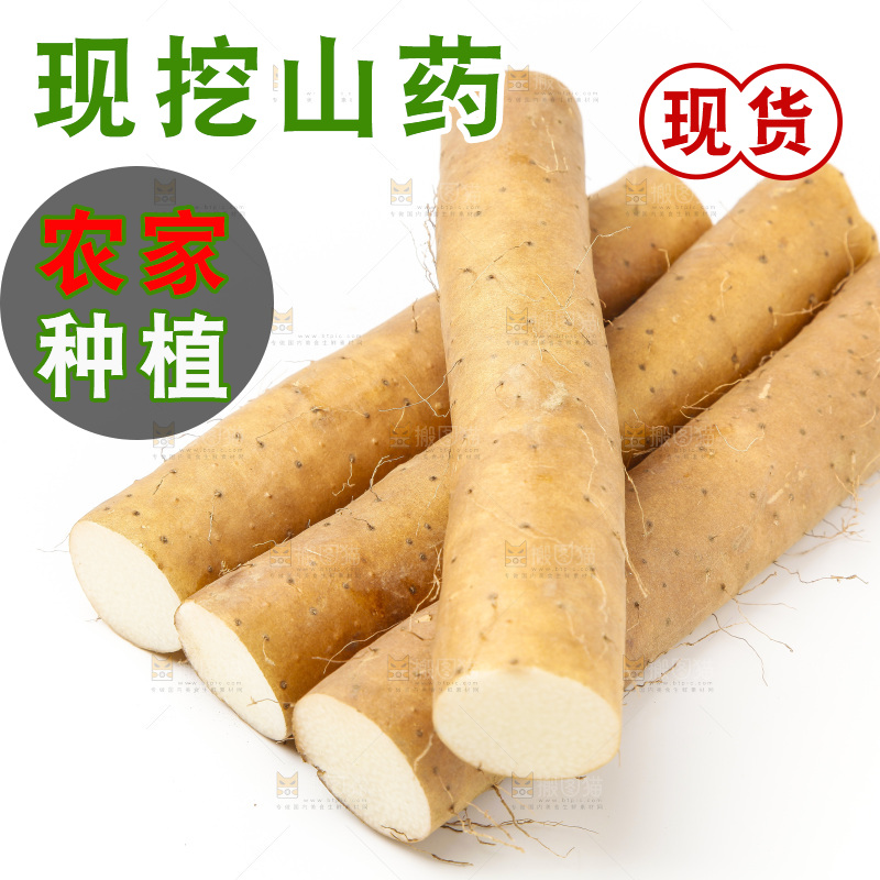 浅底上的新鲜山药