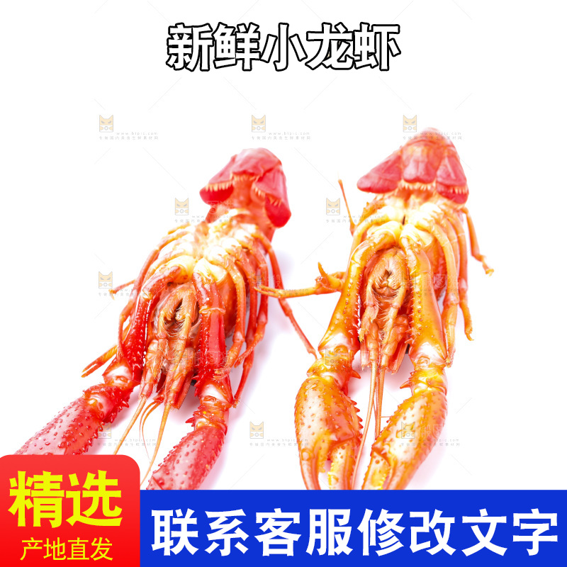 白底上放着秘制小龙虾
